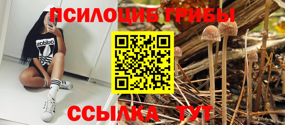 Галлюциногенные грибы прущие грибы Усинск